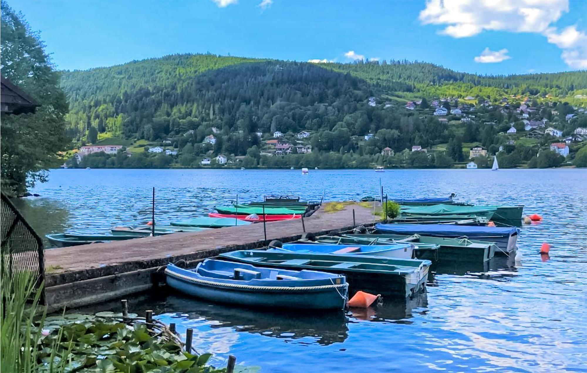 Gorgeous Apartment In Gerardmer With Kitchen מראה חיצוני תמונה