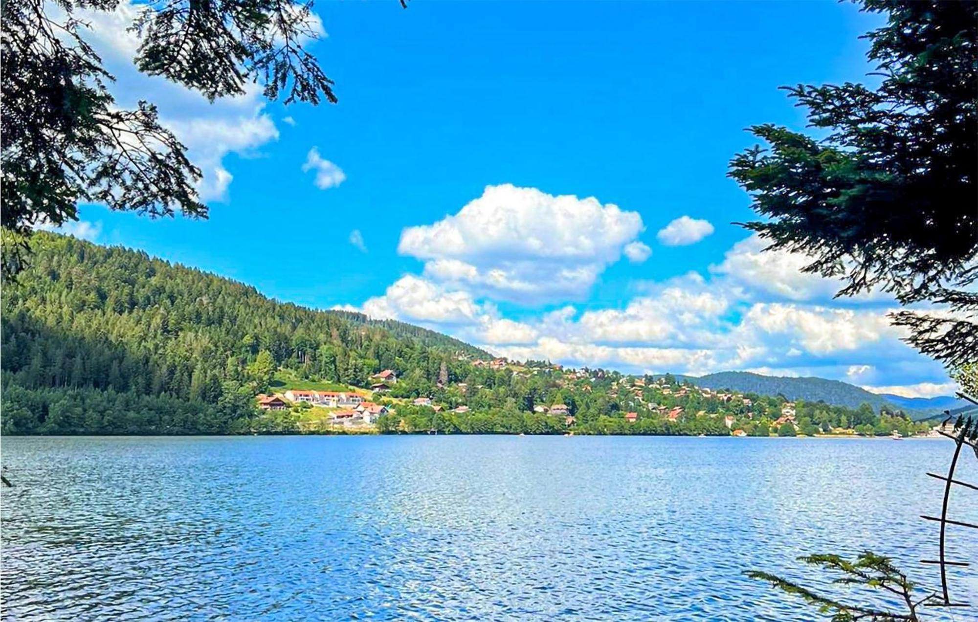 Gorgeous Apartment In Gerardmer With Kitchen מראה חיצוני תמונה